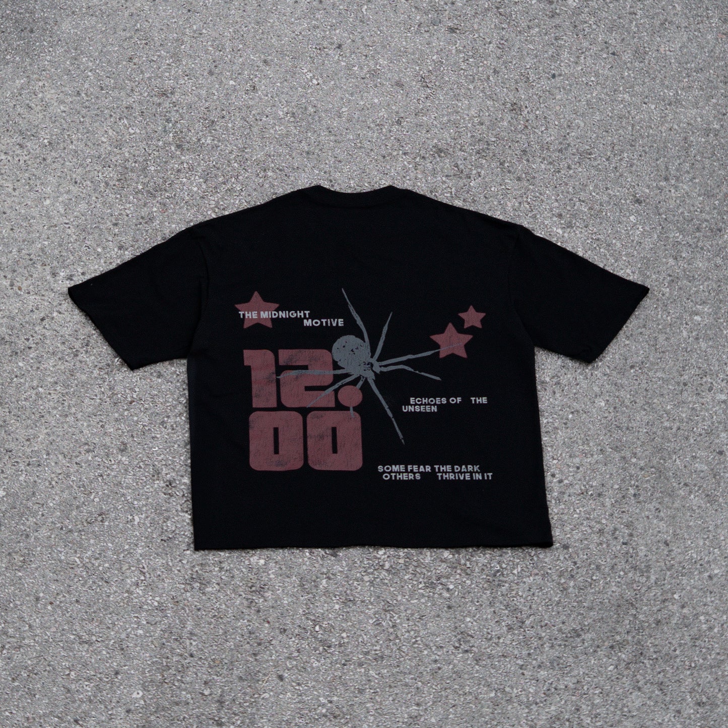 THE OVERSIZED SPIDER TEE